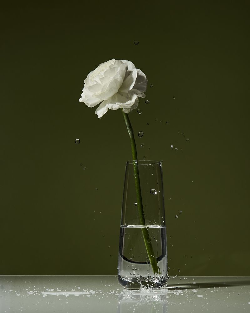 Photograph by Асель Рембекова