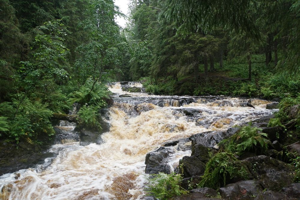 Photograph by Андрей Нурулин