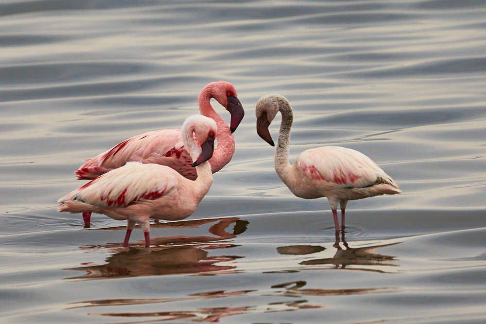 Photograph by Николай Наумов