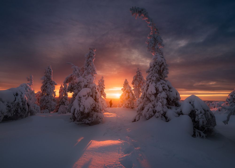 Прощание с солнцем