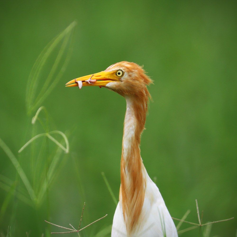 Photograph by Vijay madan