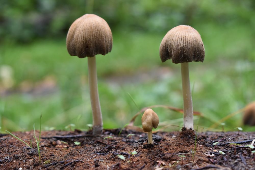 Photograph by Сергей Головин