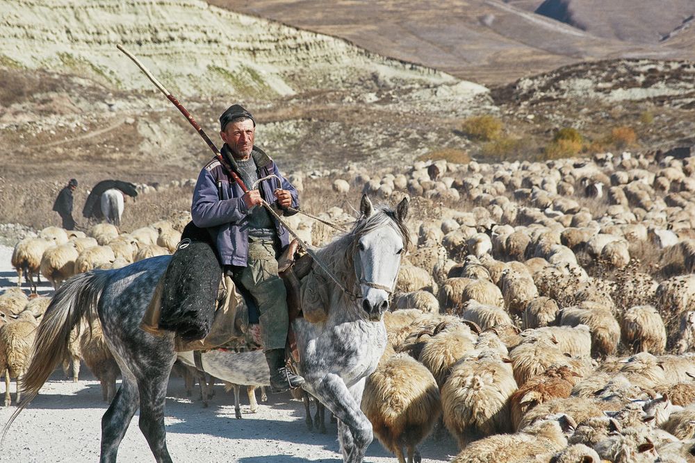 Photograph by Вадим Никифоров