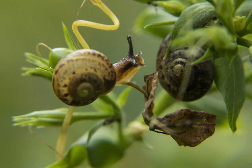Photograph by Ремизов Владимир