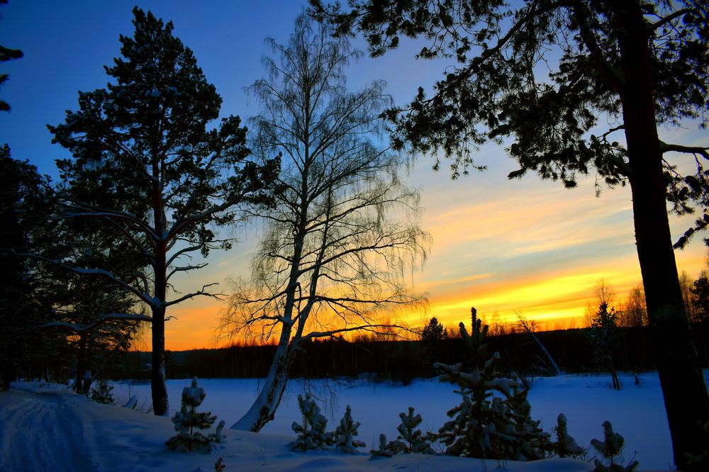 Photograph by Наталья Аржинт