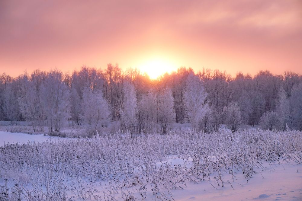 Photograph by Елизавета Деева