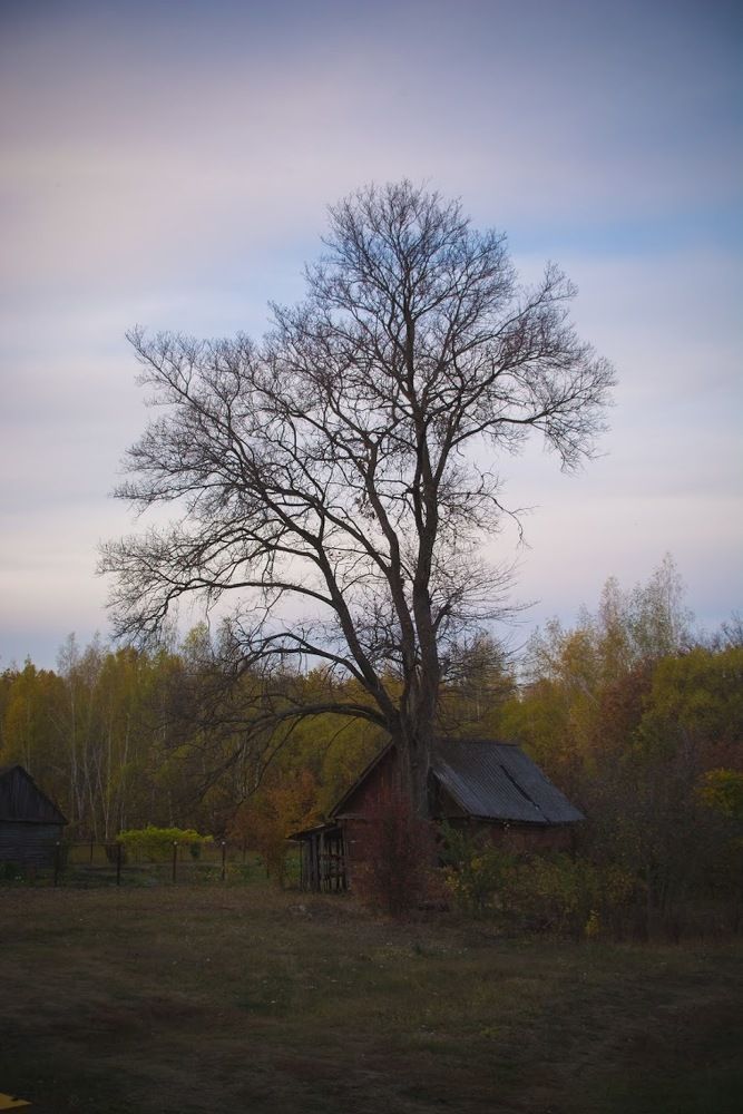 Photograph by Алла Шаталова