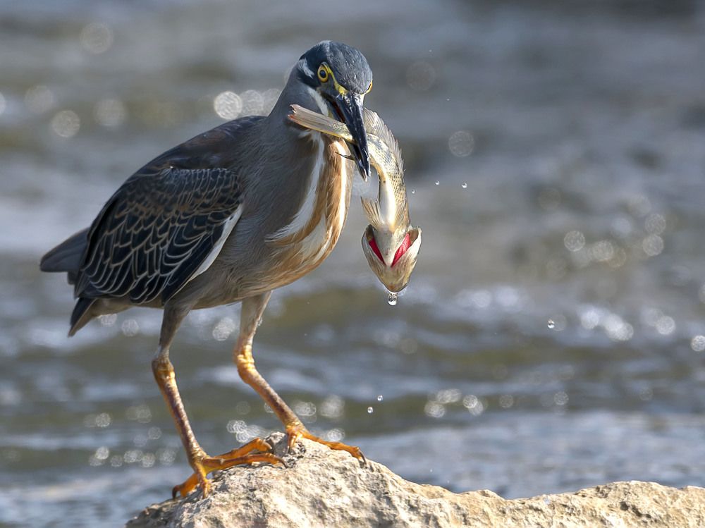 Photograph by Laila Bidah