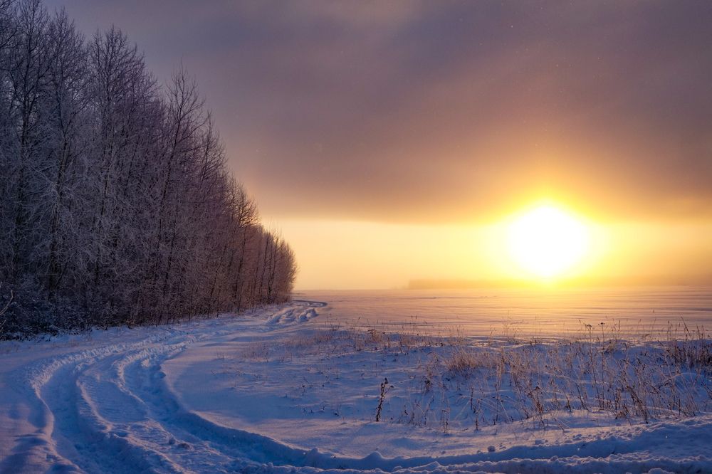 Photograph by Елизавета Деева