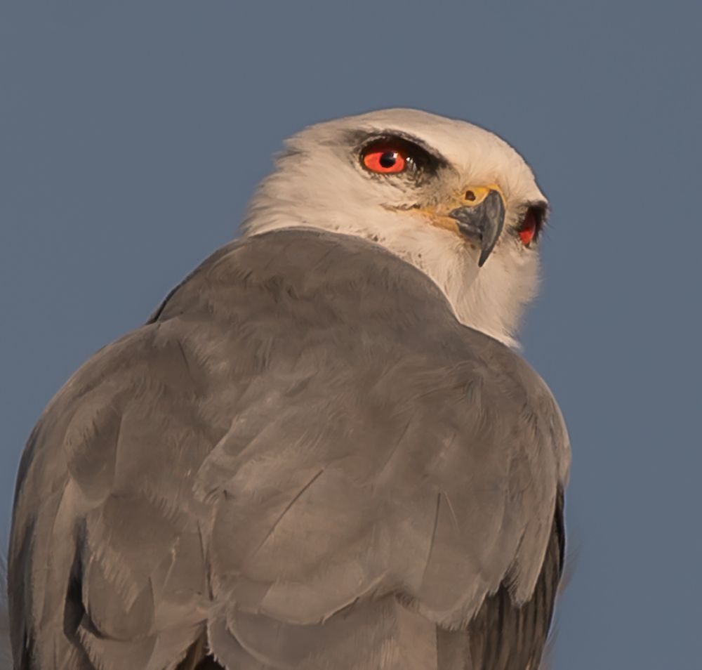 Photograph by Doaa Belal