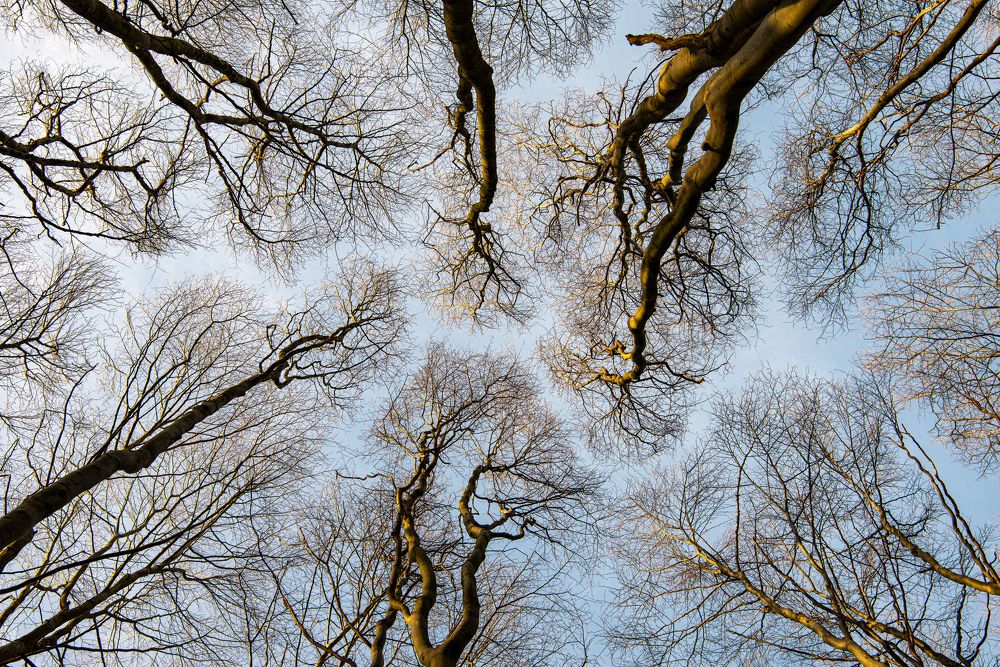 Photograph by Sergejs Demjanenko