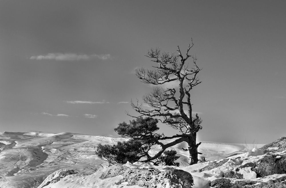 Photograph by  Владимир