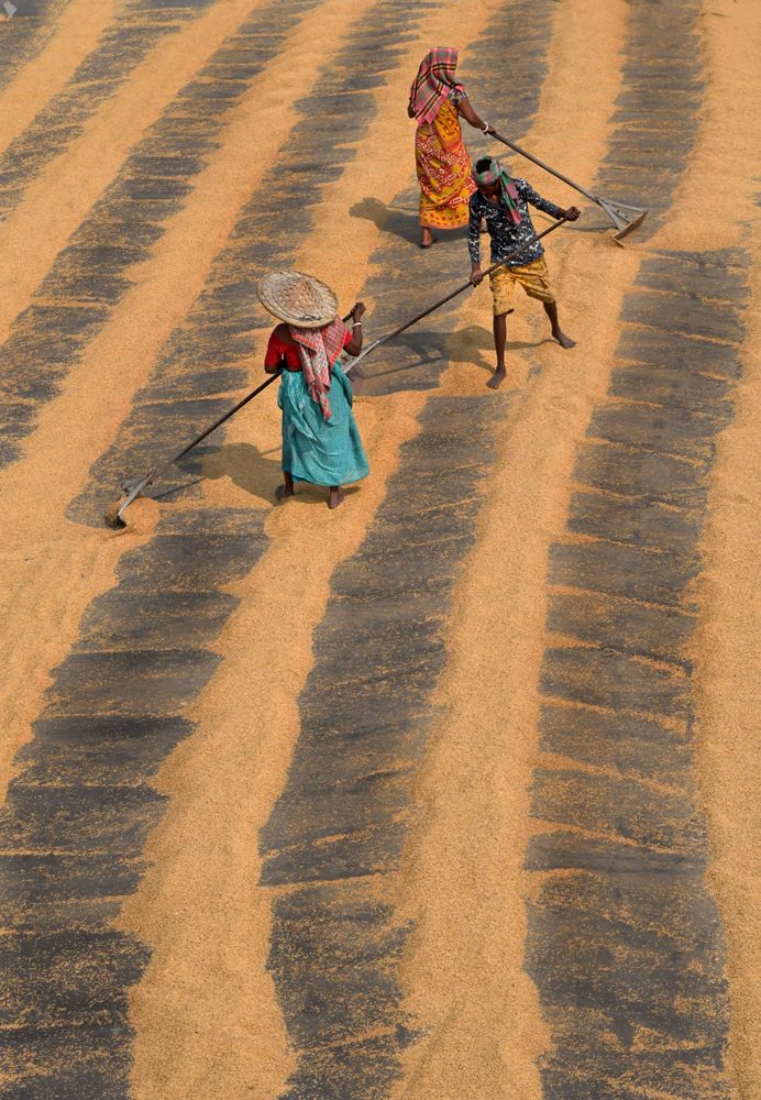 Photograph by Soumyadip Dey