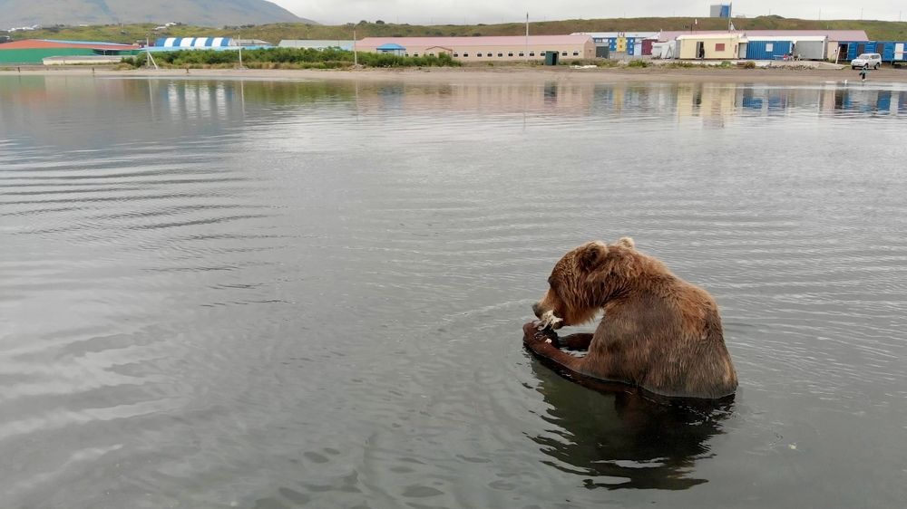 Photograph by Денис Баки