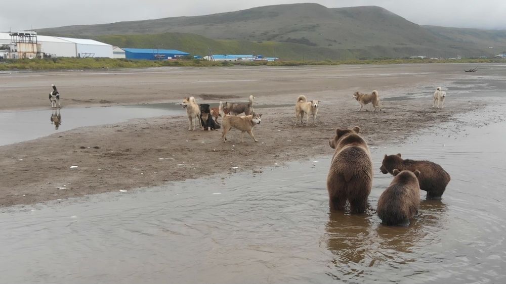 Photograph by Денис Баки