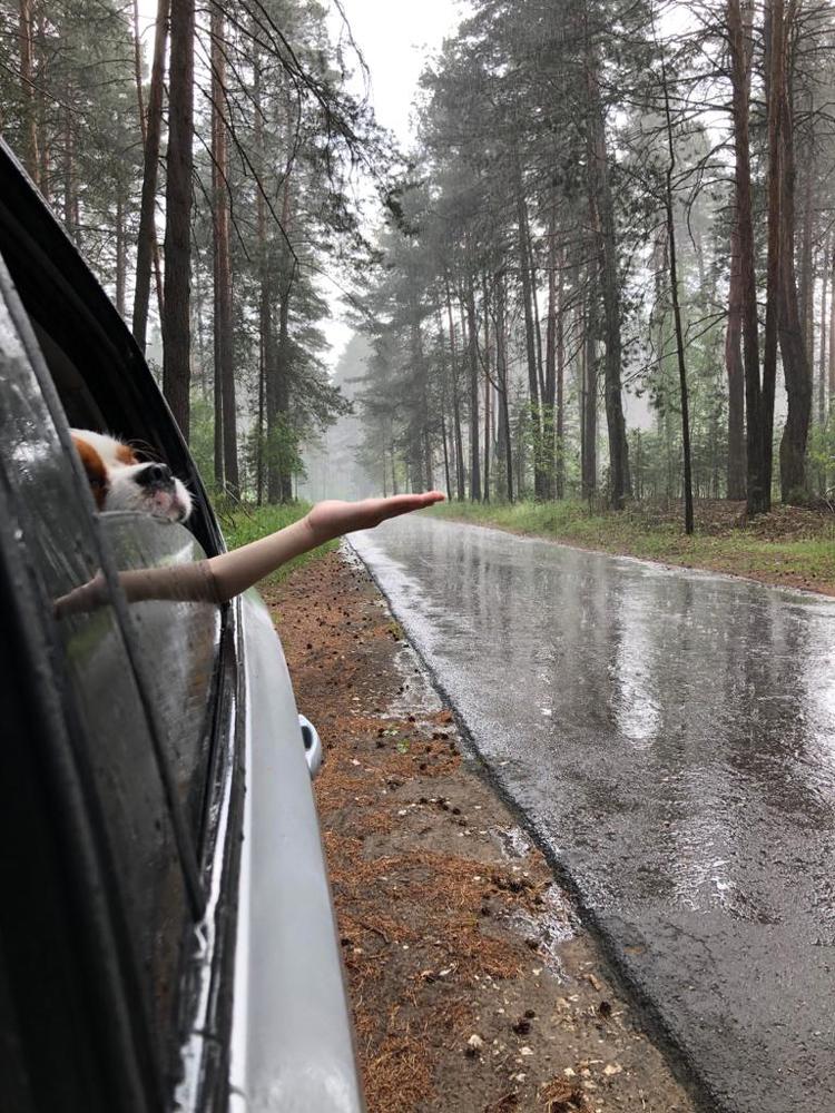 Photograph by Наталья Едакина