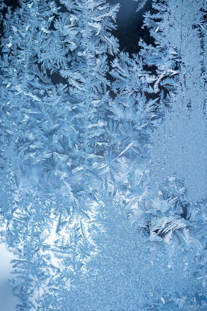 Photograph by Александр Руцкой