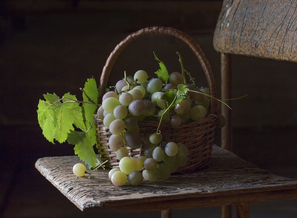 Photograph by Катерина Кубица