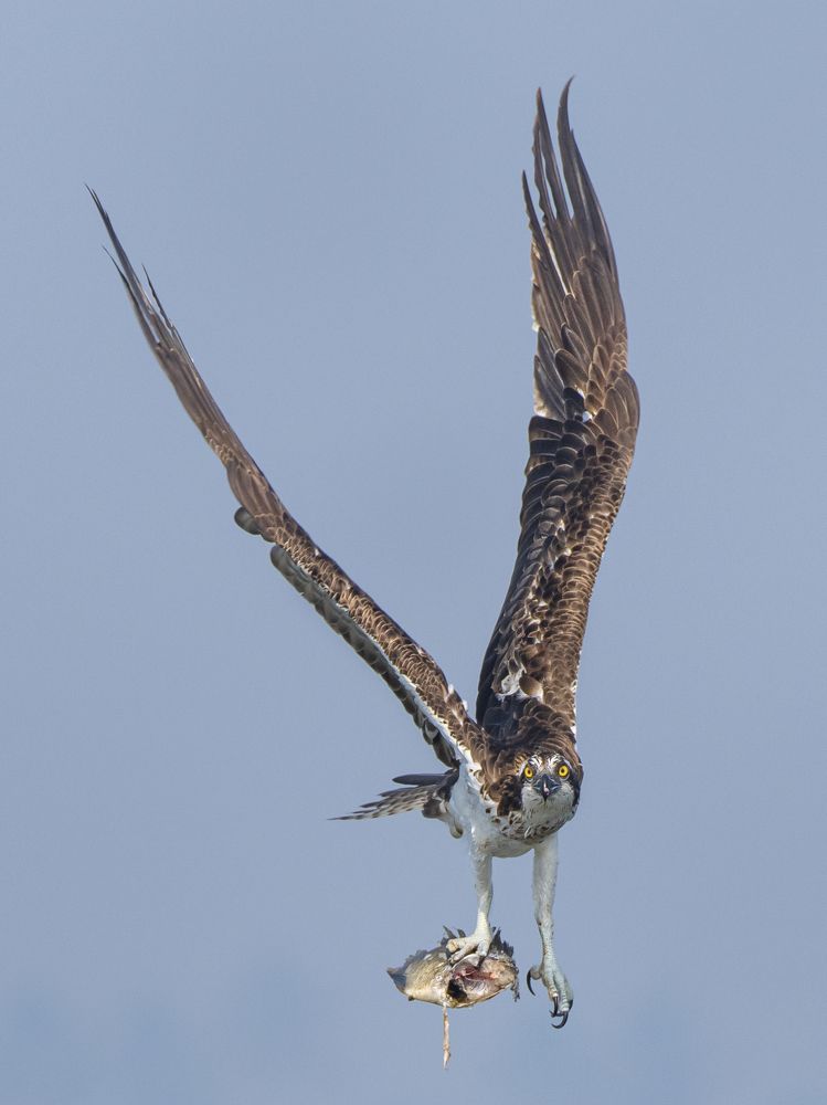 Photograph by Suman Paul