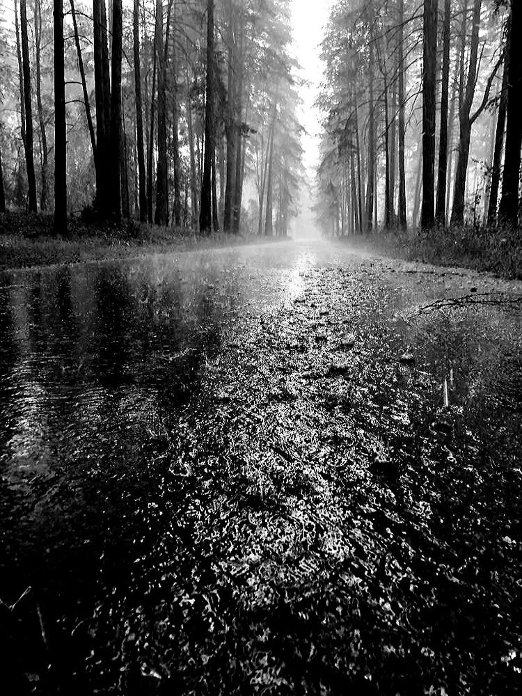 Photograph by Наталья Едакина