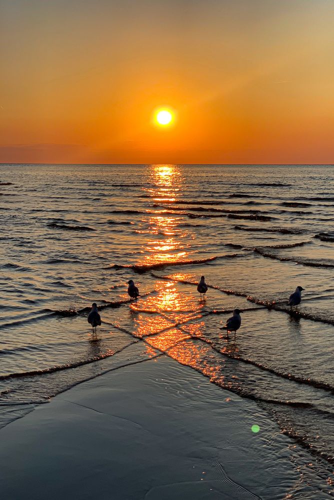 Летний балтийский закат
