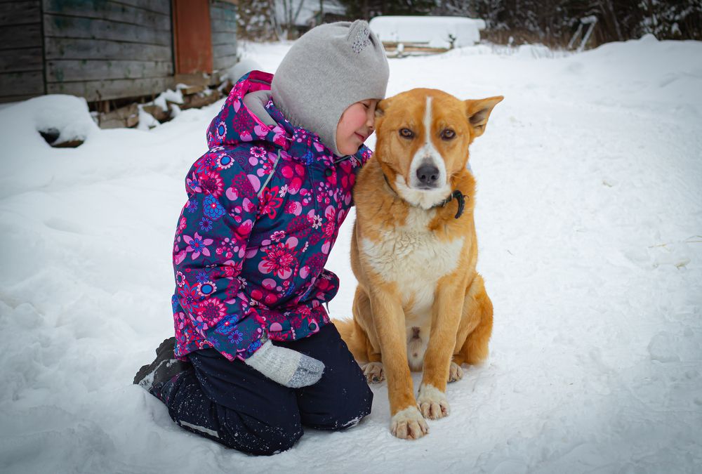 Photograph by Алексей Новоселов