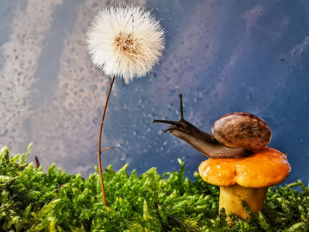 Photograph by Юлия Иванова