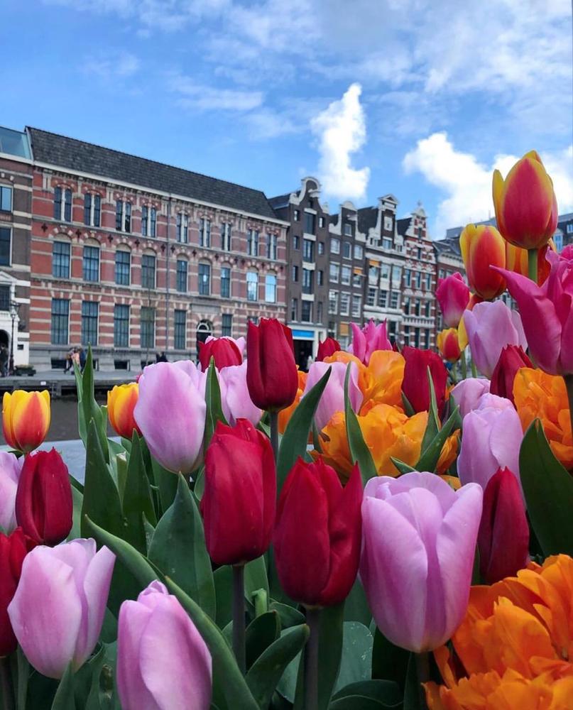 Photograph by JORGE Jtobias