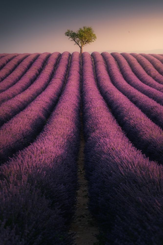 Photograph by Matteo Rovatti