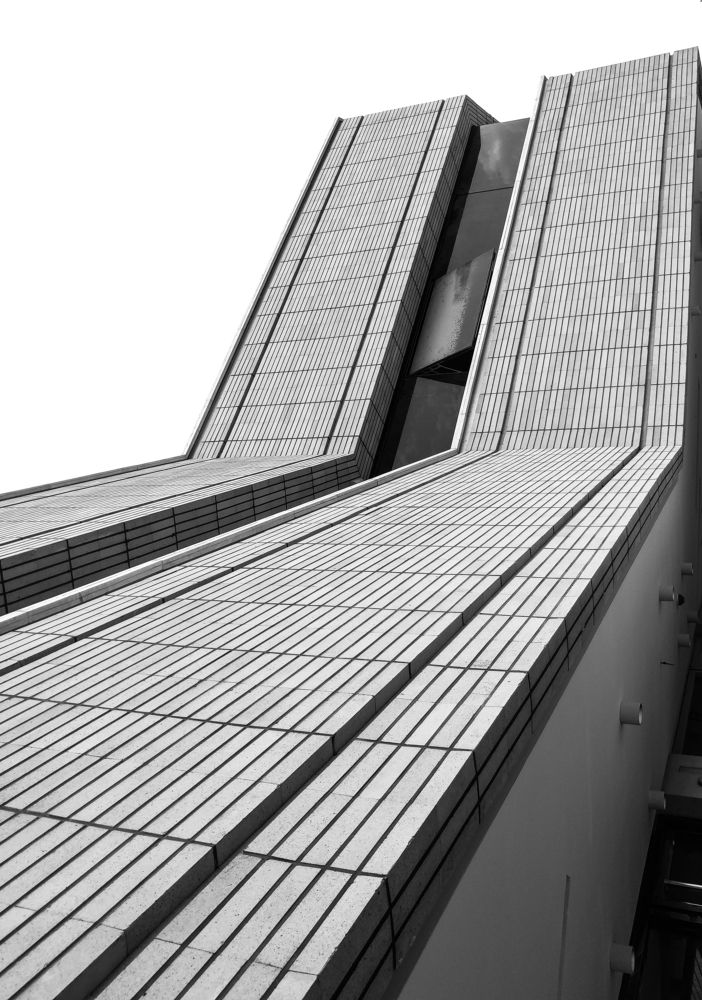 Photograph by Ali Ghalamkari