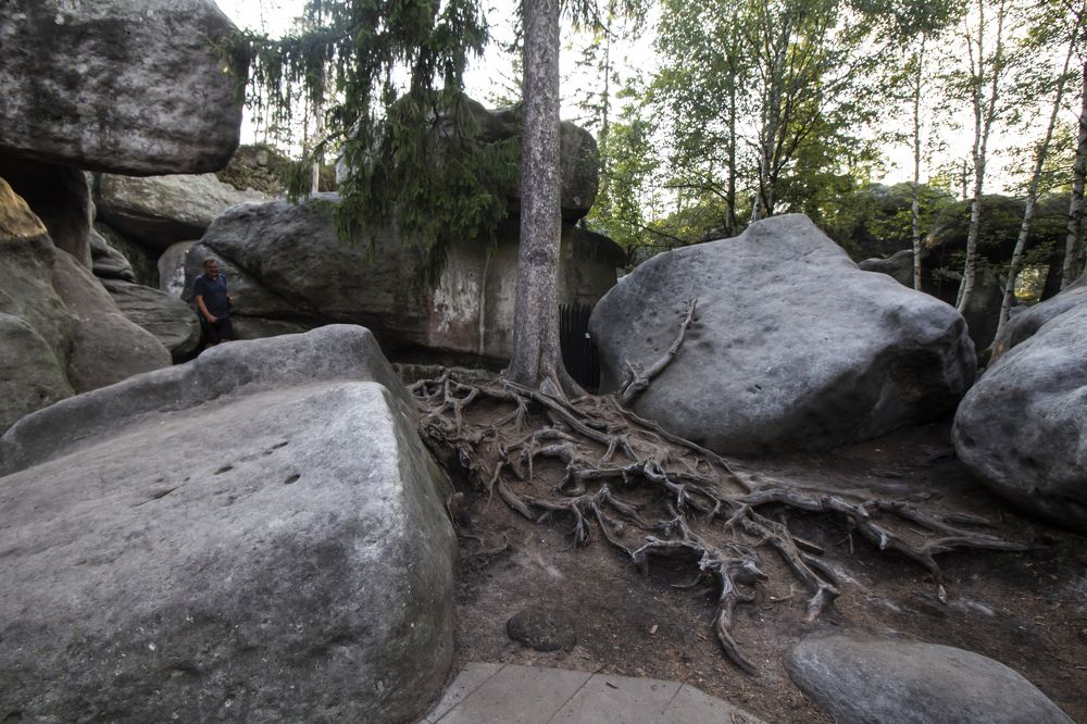 Фотография автора Marina Starovoyt