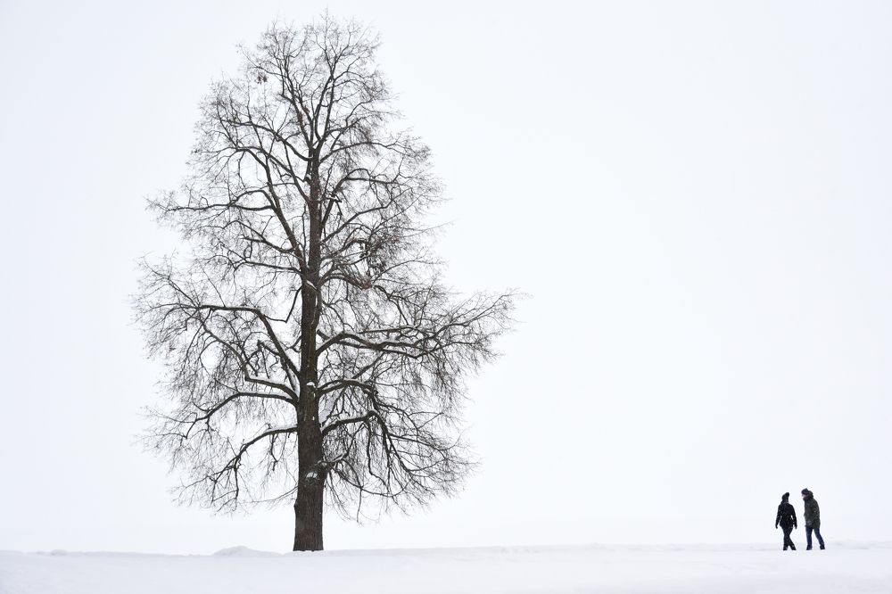 Photograph by Мария Рохмистрова