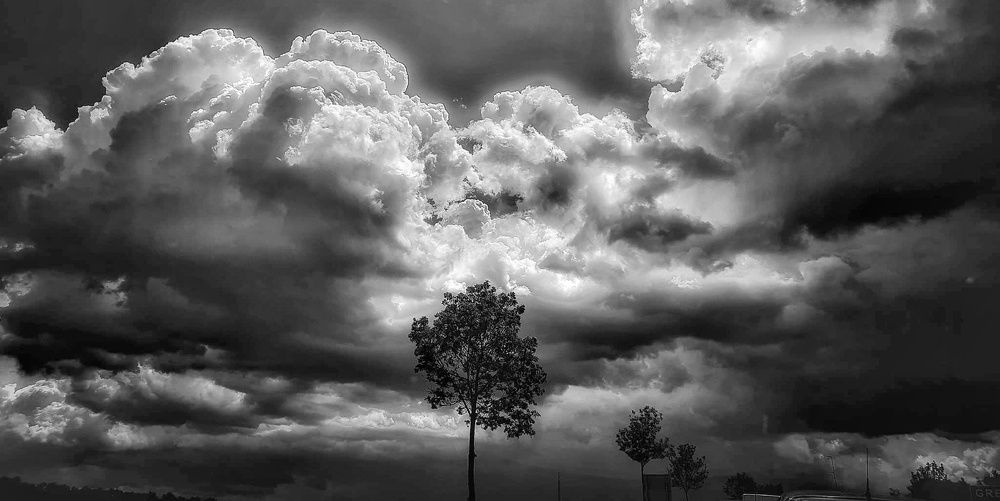 Photograph by Sallai Zoran