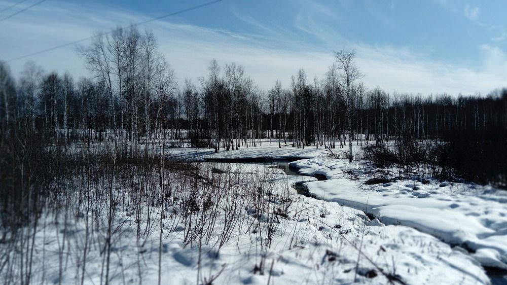 Photograph by Светлана Пинчук