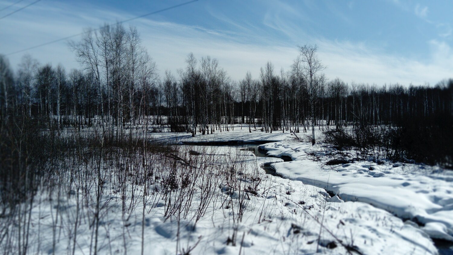 Photo #5854279