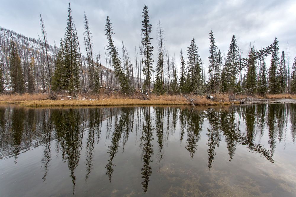Фотография автора Юрий Литвинов