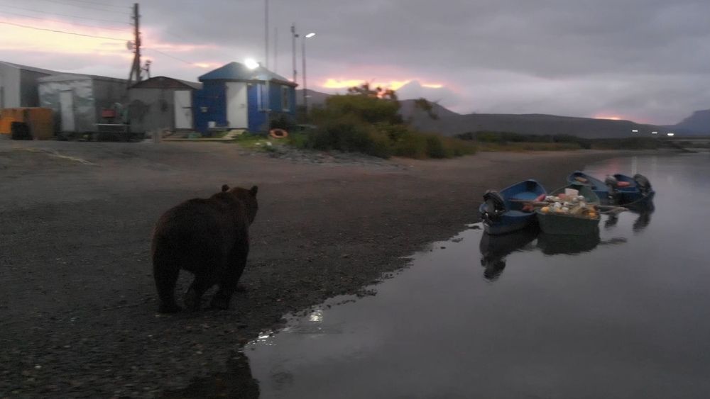 Фотография автора Денис Баки
