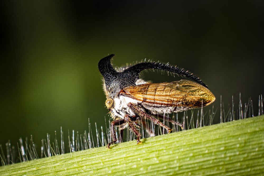 Photograph by Lê Trung Phùng