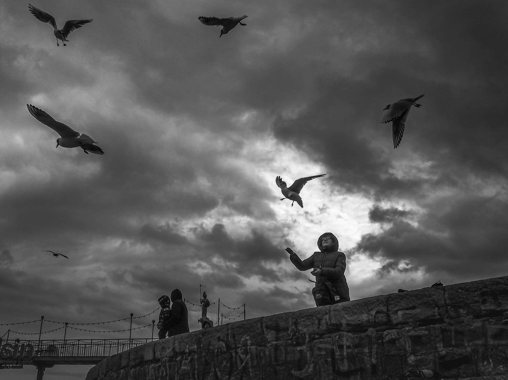 Photograph by mikhail goryachev