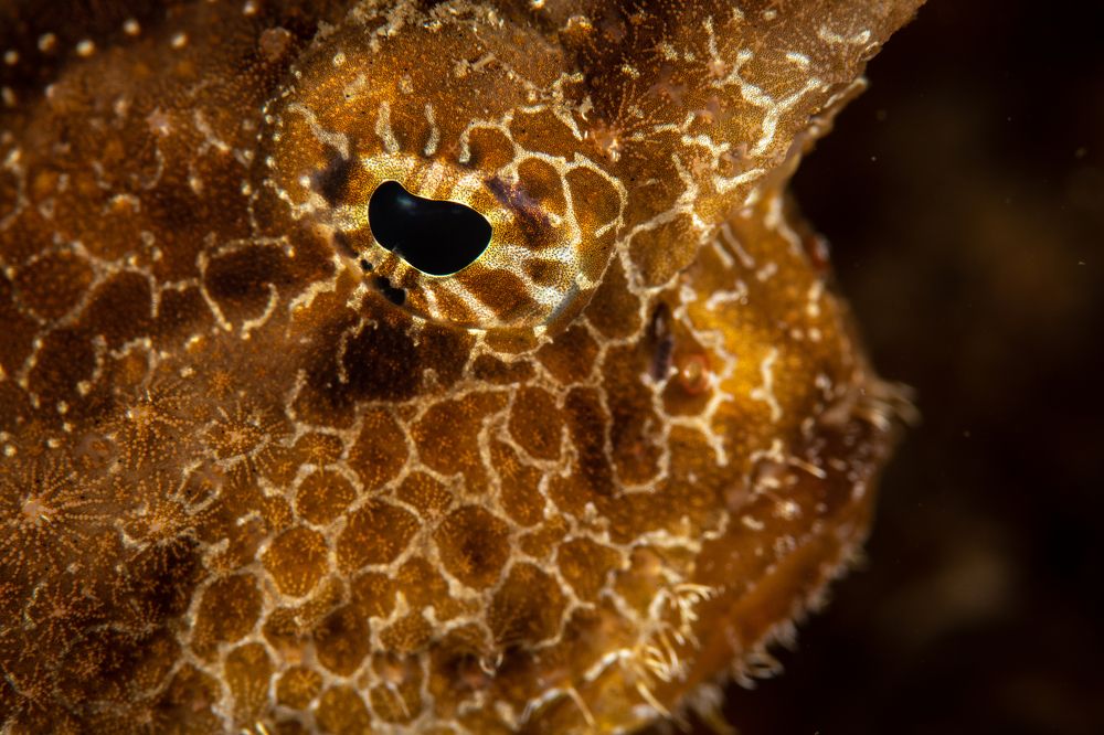 Photograph by Carlos Eduardo Barreto Pinheiro