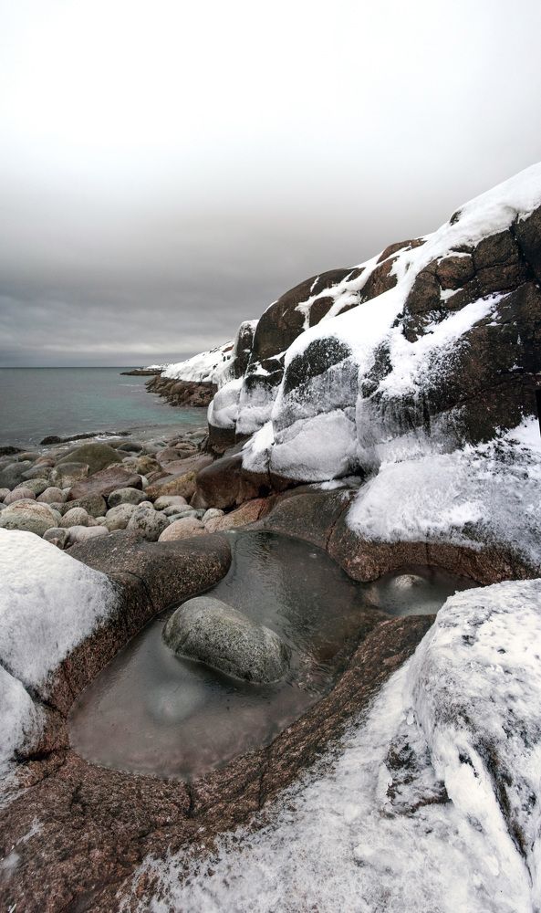 Фотография автора Надежда Павлова