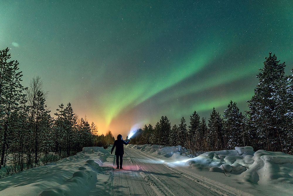 Photograph by Анна Мартынова