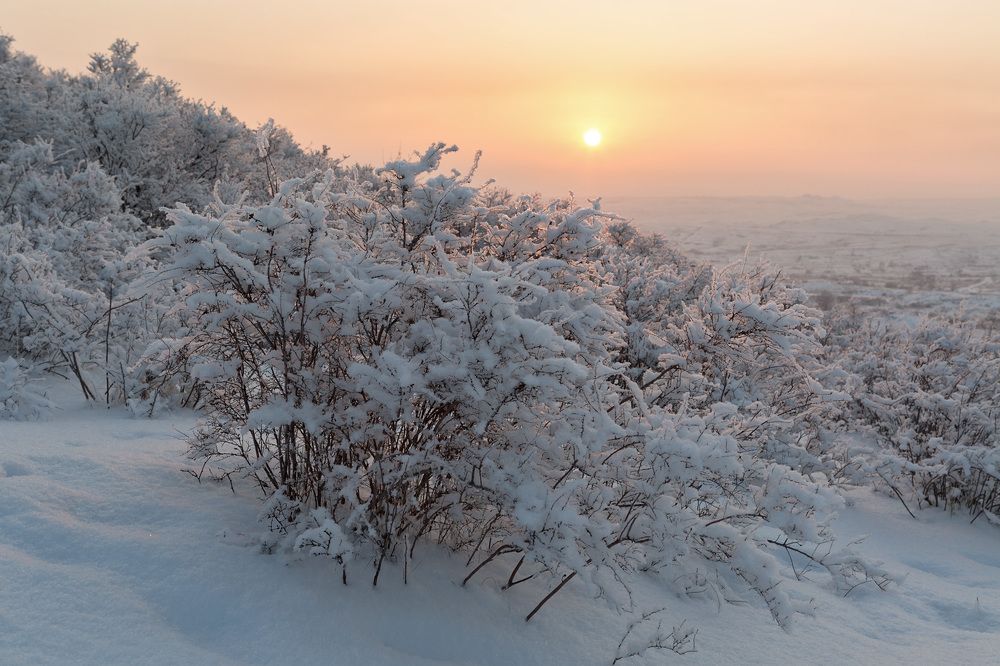 Фотография автора Юрий Литвинов