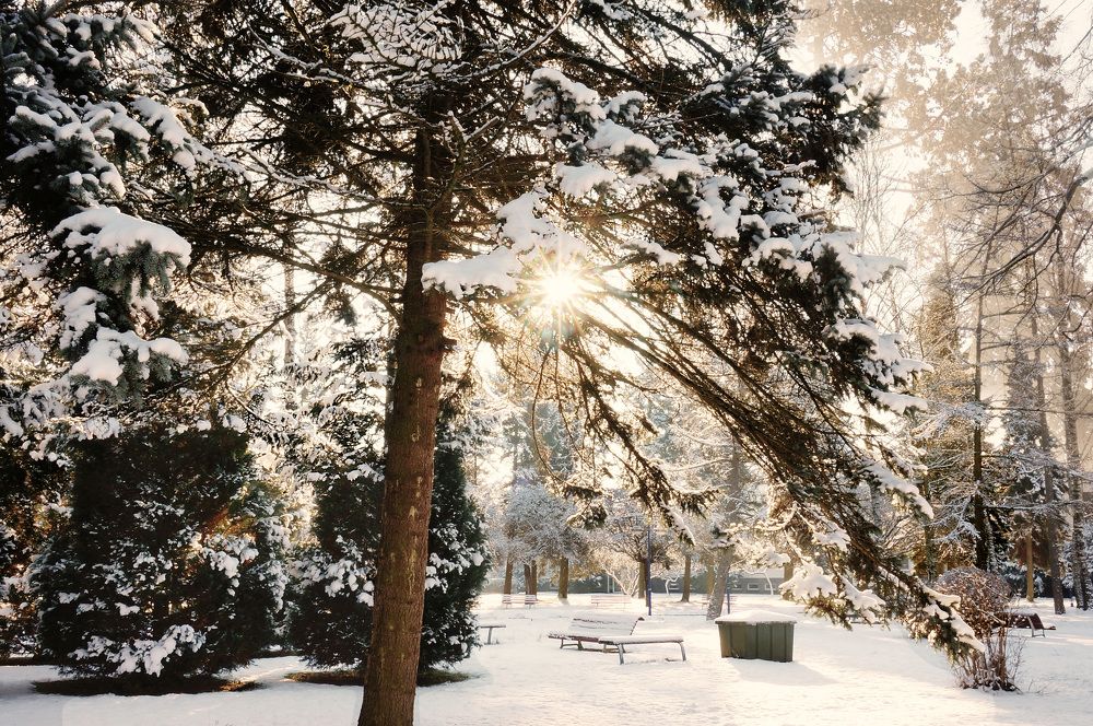 Фотография автора Tatiana Kadotschnikow