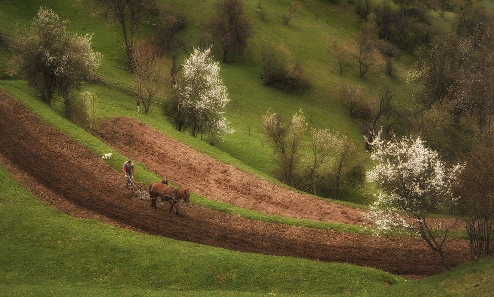 Photograph by Petya Lazarova