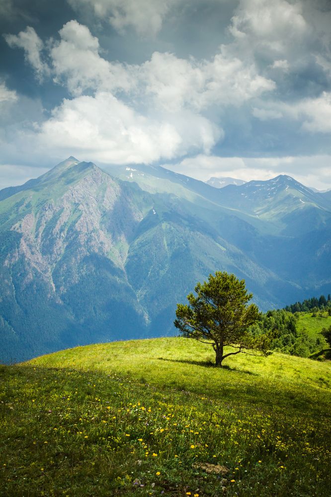 Photograph by Елена Покрепа