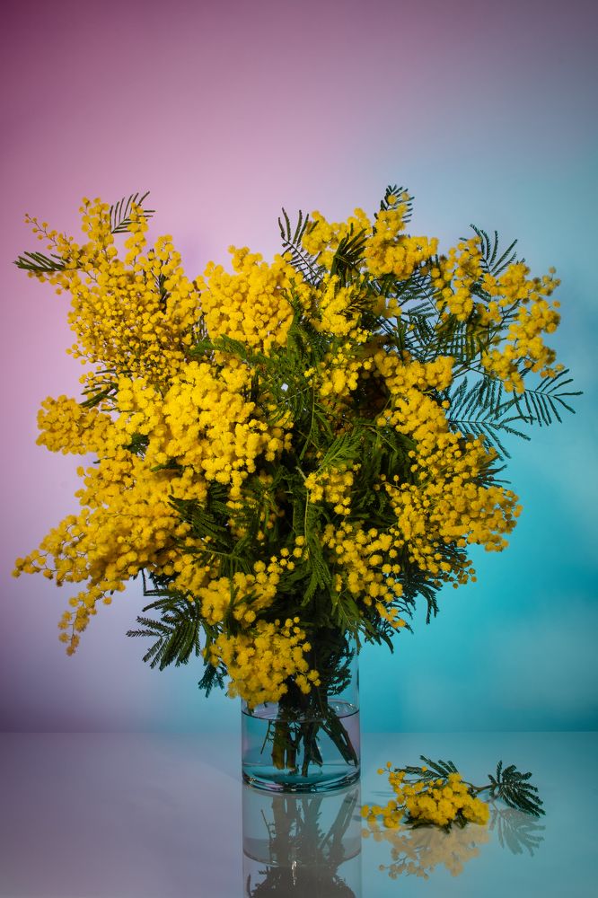 Photograph by Evgeniya Stafeeva