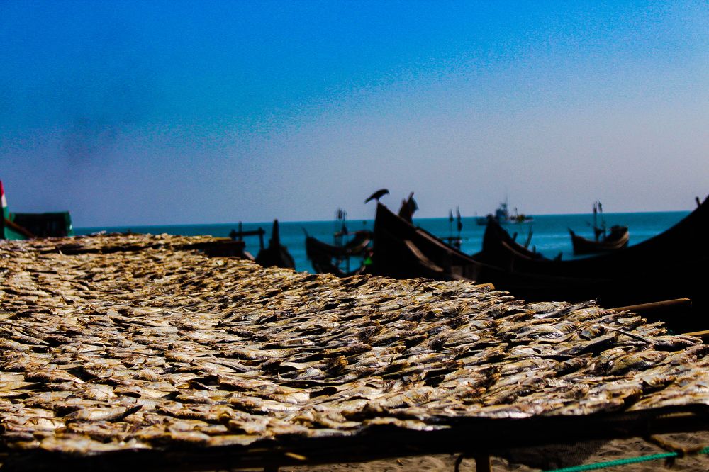 Photograph by Zannatul ferdaus Badhon