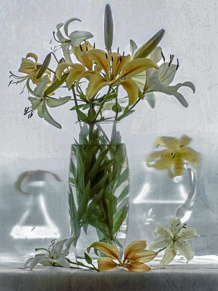 Photograph by Светлана Лехмус