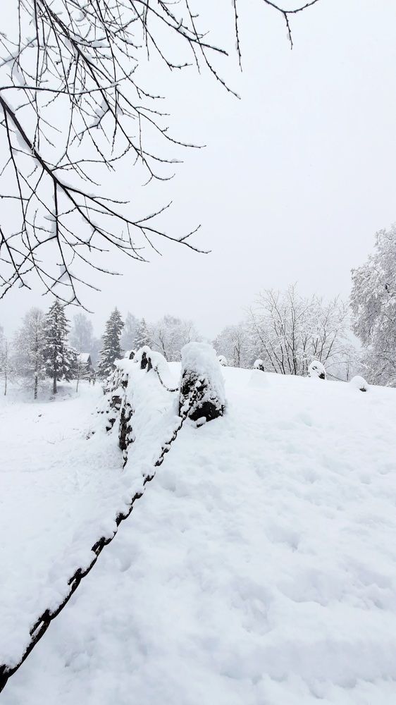 Photograph by Ольга Новоселова